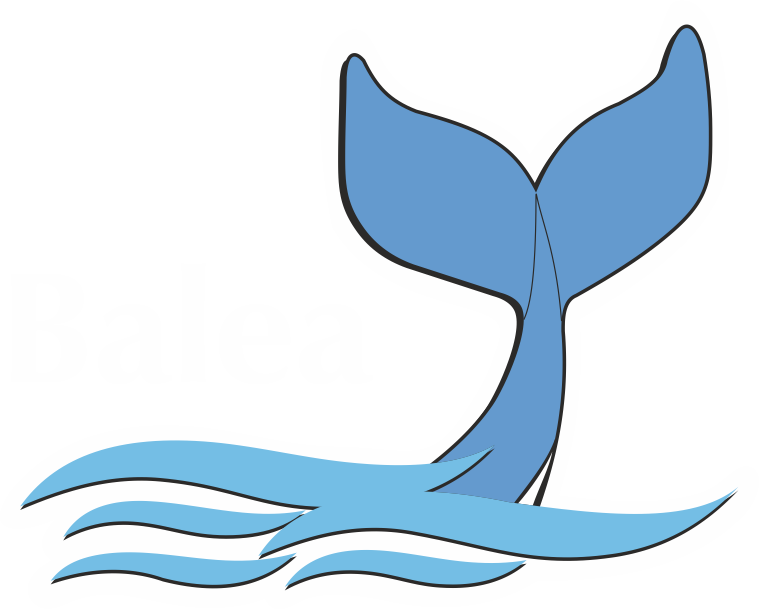 Tienda Baleapesca
